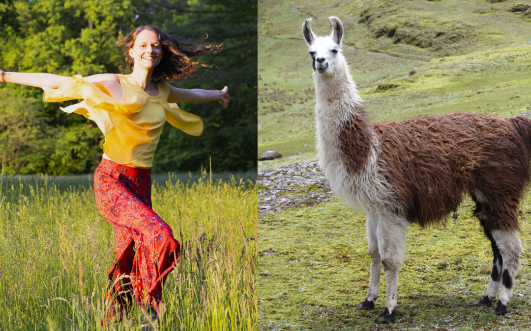 BIODANZA IN DER NATUR MIT LAMA-SPAZIERGANG für Erwachsene